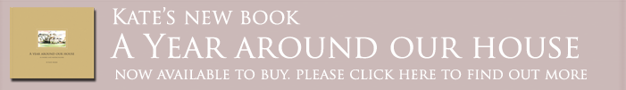 Click to buy Kate's new book