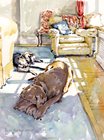 Dogs in Sitting Room sun