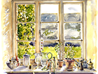 Kitchen windowsill
