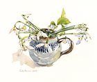 Snowdrops in petal jug