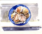 Scallop shells